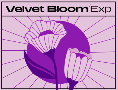 Native Instruments Velvet Bloom Maschine Exp